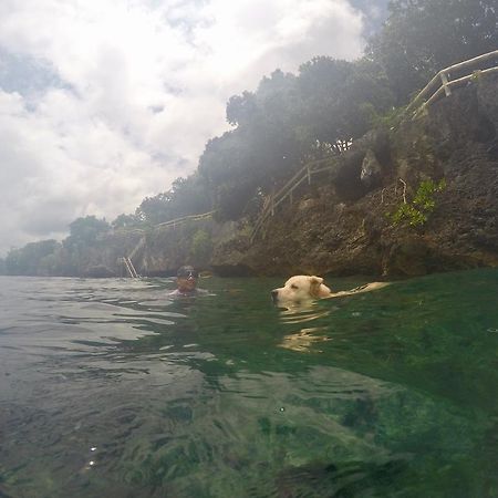 Alexis Cliff Dive Resort Панглао Экстерьер фото